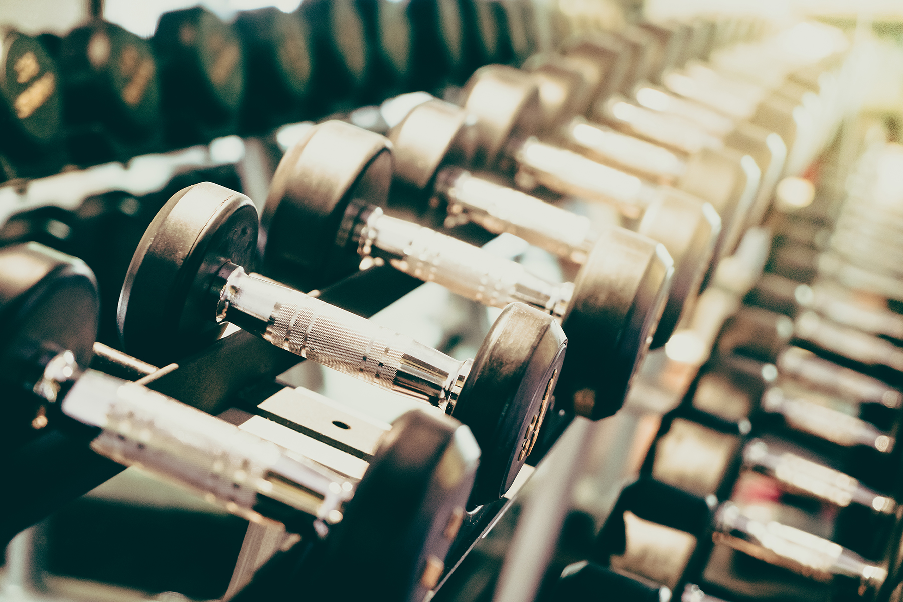 Fitness koji prati vaš stil života - Palazzo President Fitness koji prati vaš stil života - Palazzo President